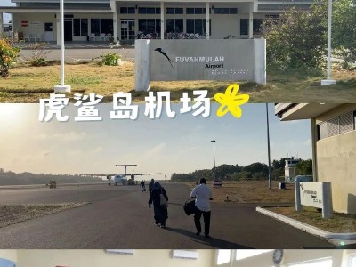 探索马尔代夫的绝美海底世界（全方位潜水攻略带你畅游热带海洋）