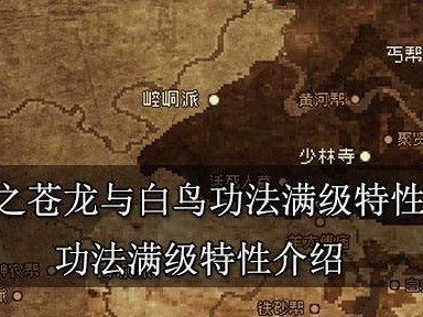 大江湖白鸟技能搭配攻略（探索大江湖白鸟技能的最佳组合，打造无敌战斗力！）