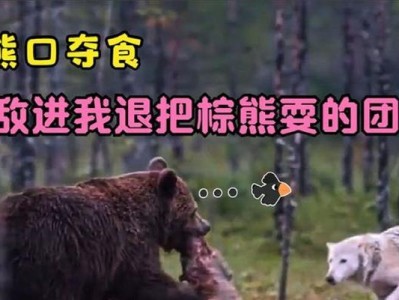 《饥饿与恐惧狼技能搭配攻略》（掌握关键技巧，制霸战场）