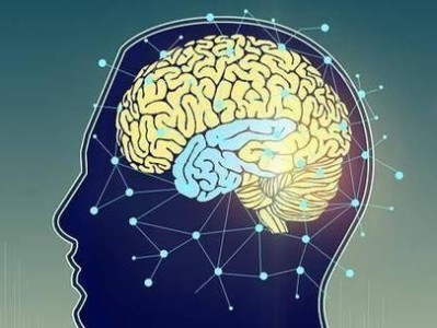 突触网络出装攻略（突触网络出装攻略帮你摆脱网络连接困扰，享受顺畅上网体验）