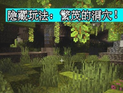 探秘阿克隐藏阶段的攻略心得（揭秘阿克隐藏阶段的关键要点，助你游刃有余）