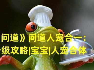 问道宝宝出装顺序攻略，助你成为出色修仙者（探秘最佳装备选择策略，助力宝宝修炼之路）