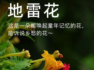 《亡者之花》玩法攻略——起源之花如何打败（打法技巧、装备选择、角色搭配，教你轻松击败起源之花）