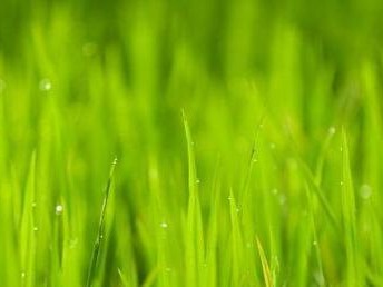 《御宅伴侣攻略大全——寻找属于你的理想伴侣》（从游戏中找到真爱，御宅族的幸福秘籍）