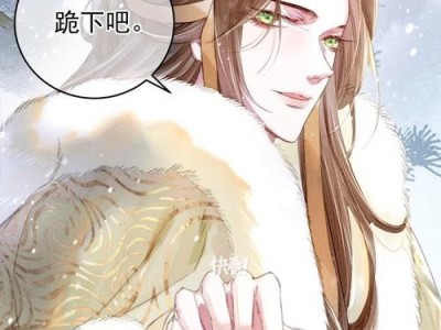 《玩转攻略游戏，掌握隐藏技能的秘诀》（揭秘《以皇上请稳住》游戏中的隐藏技能，让你成为攻略达人）