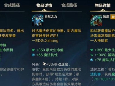 电脑英雄联盟辅助出装攻略（全面解析辅助英雄出装策略，助你稳定发育与保护队友）