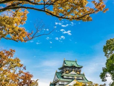 旅行青蛙探索名古屋城图鉴（以游戏为主的城市探险之旅）