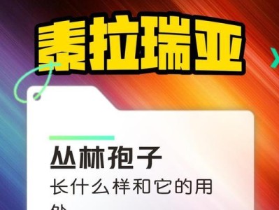 《探索王国之心泰拉的攻略指南》（从零开始，征服泰拉的全面攻略）